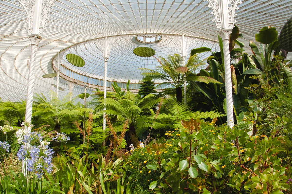Glasgow Botanic Gardens