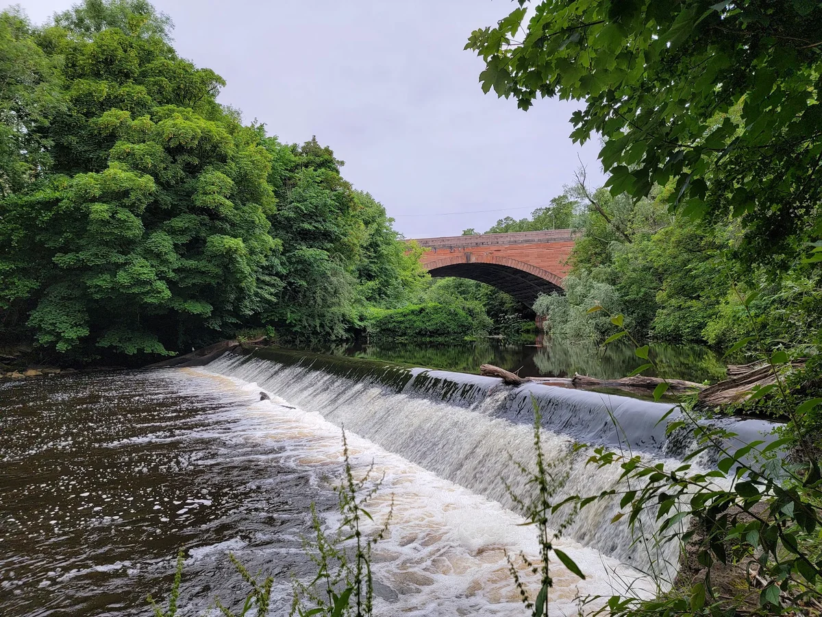 Glasgow Botanic Gardens