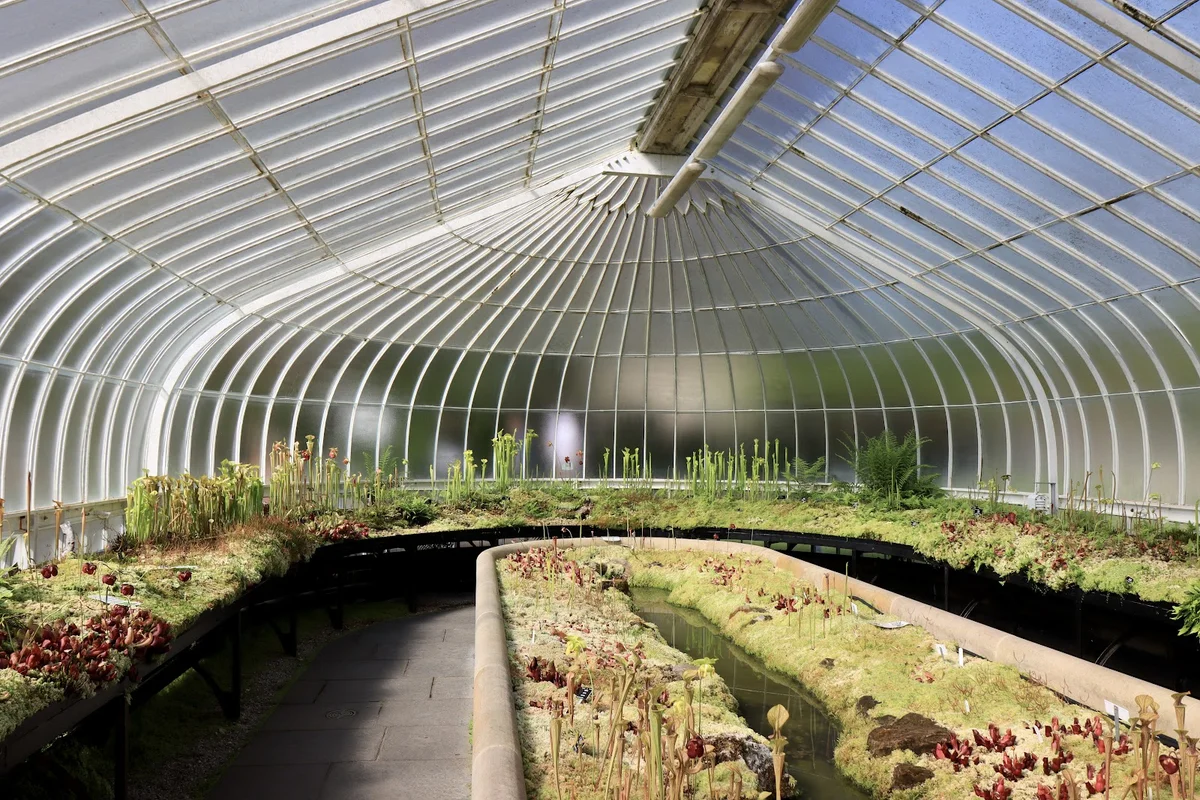 Glasgow Botanic Gardens