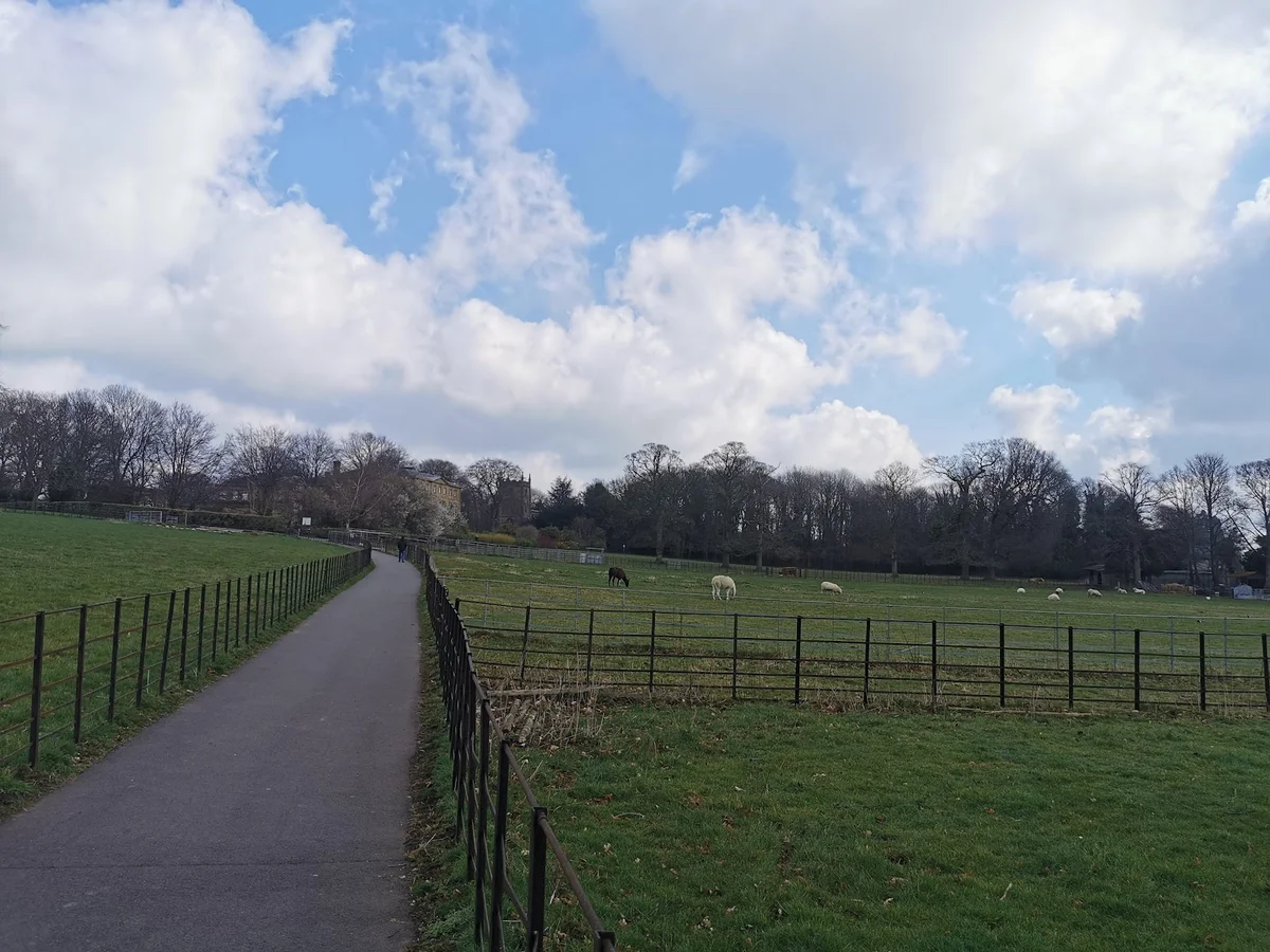 Graves Park