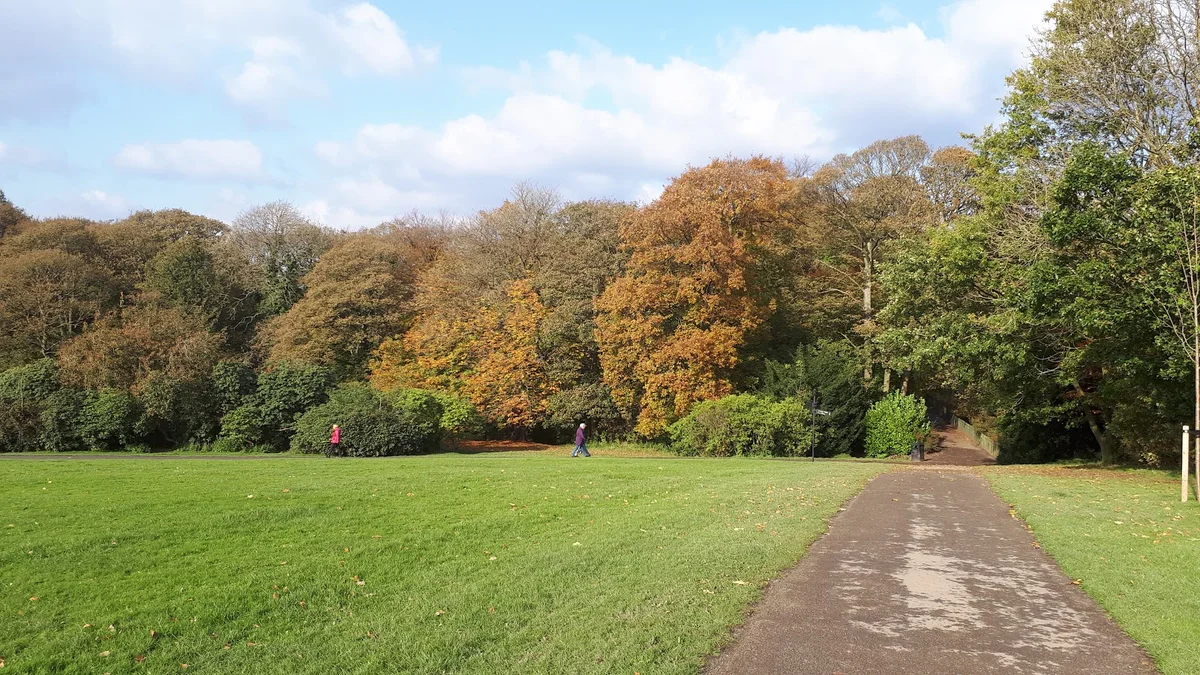 Graves Park