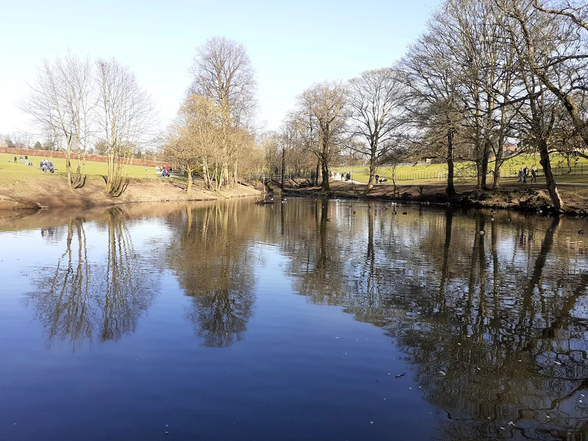 Graves Park