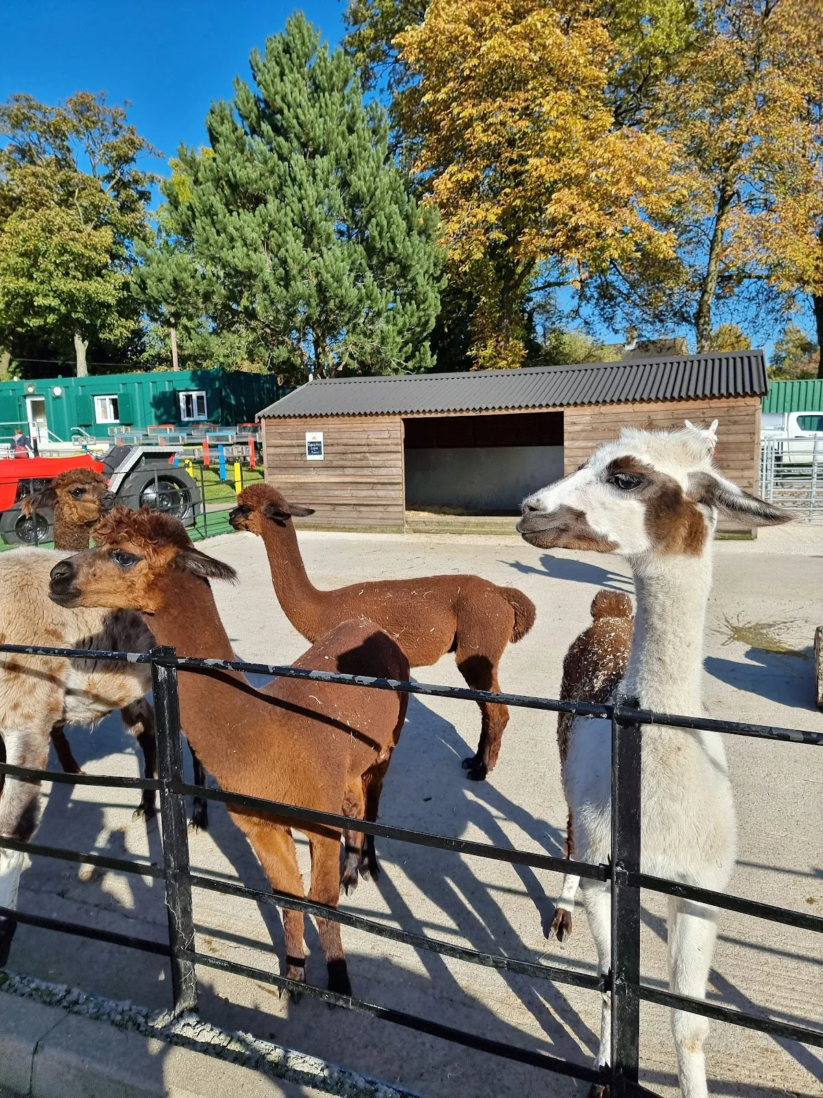 Graves Park Animal Farm