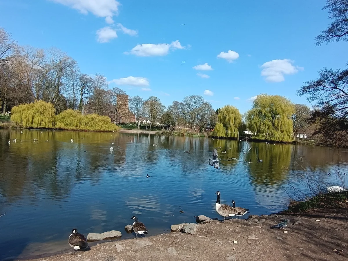 Handsworth Park