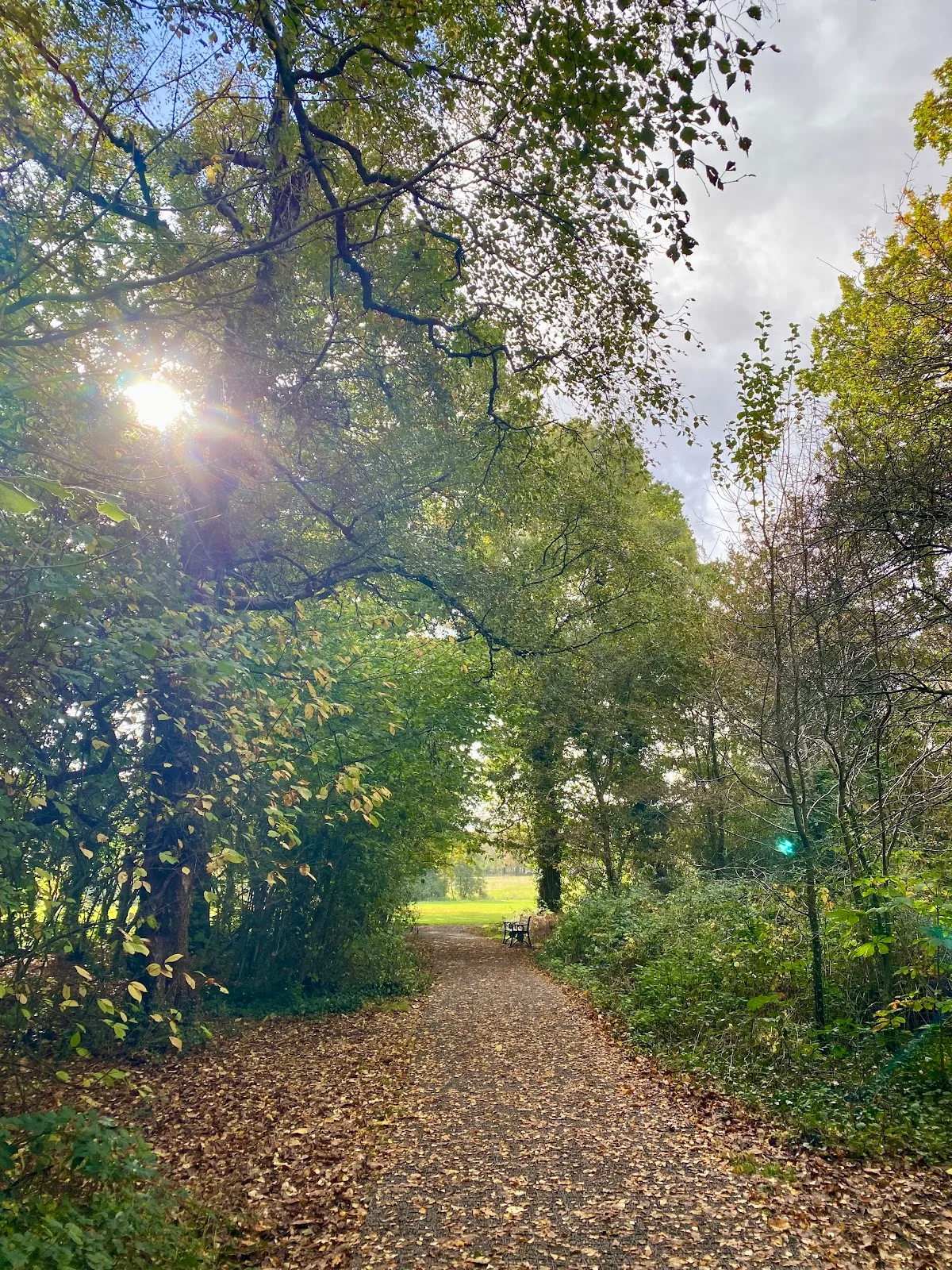 Heath Park