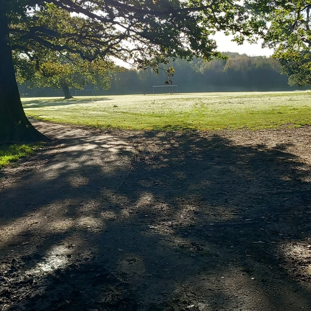 Heath Park