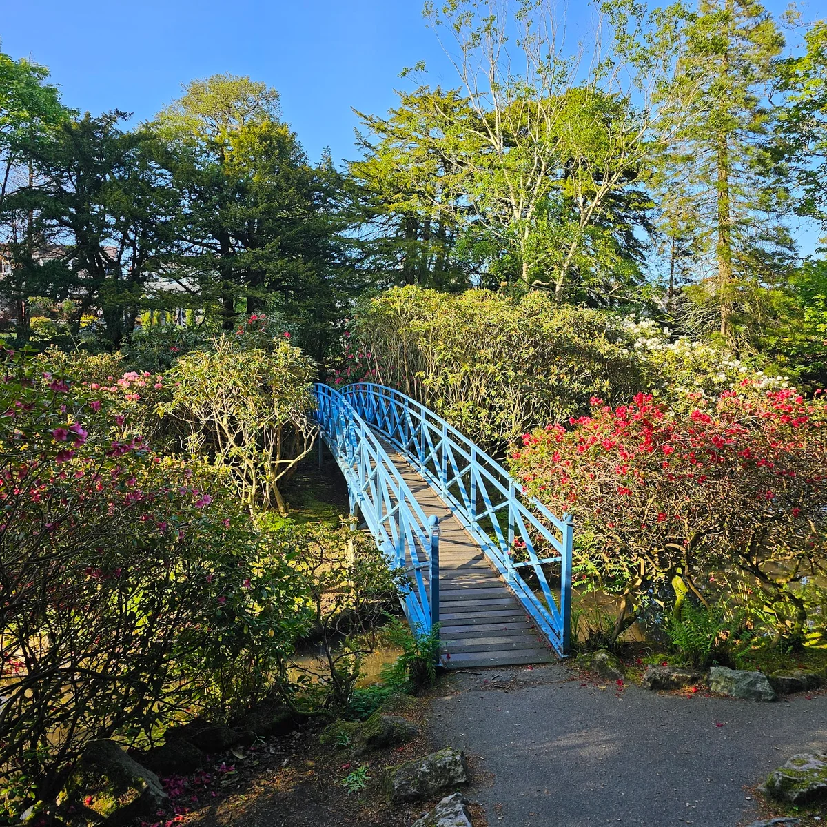 Johnston Gardens