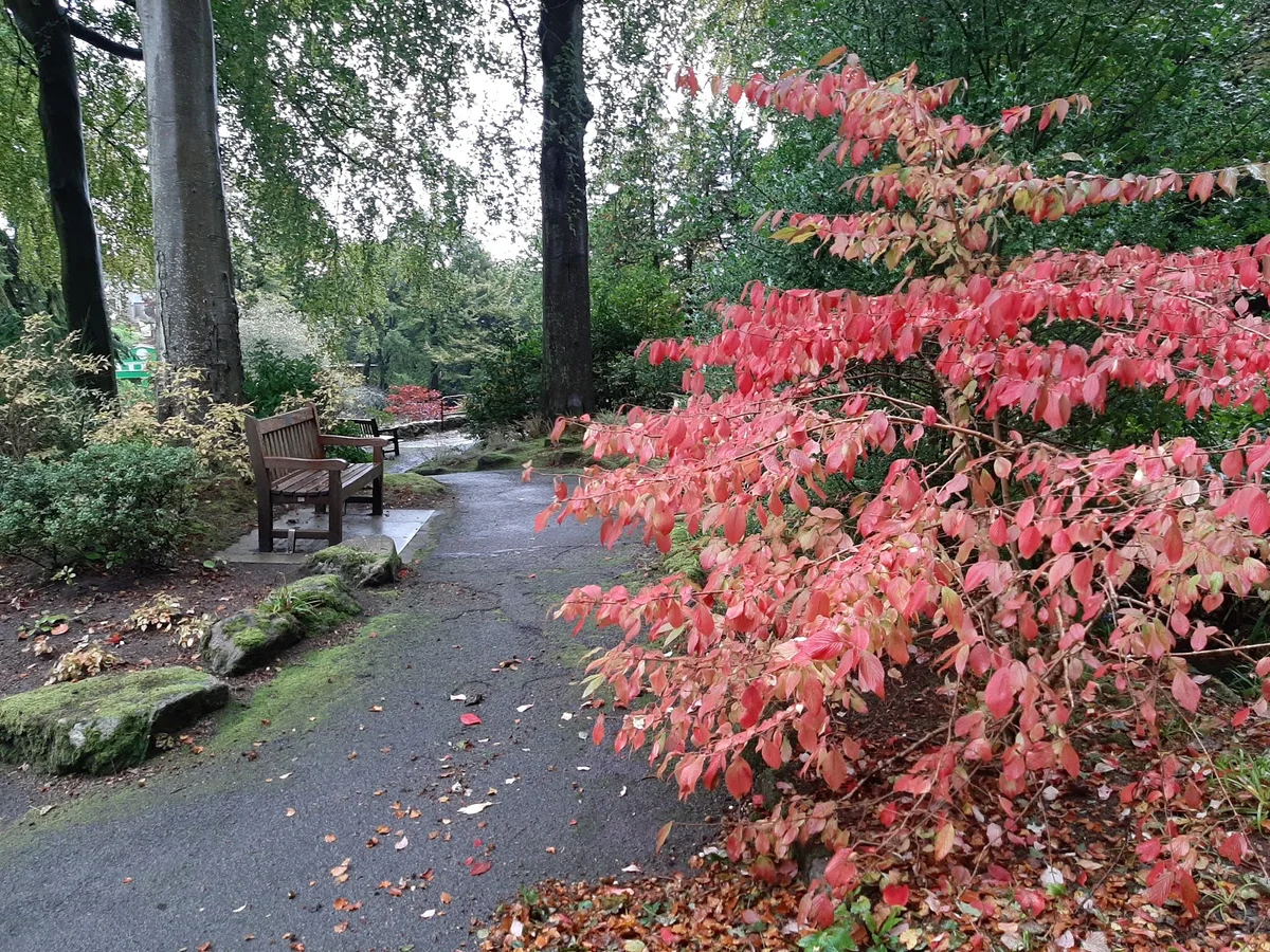 Johnston Gardens