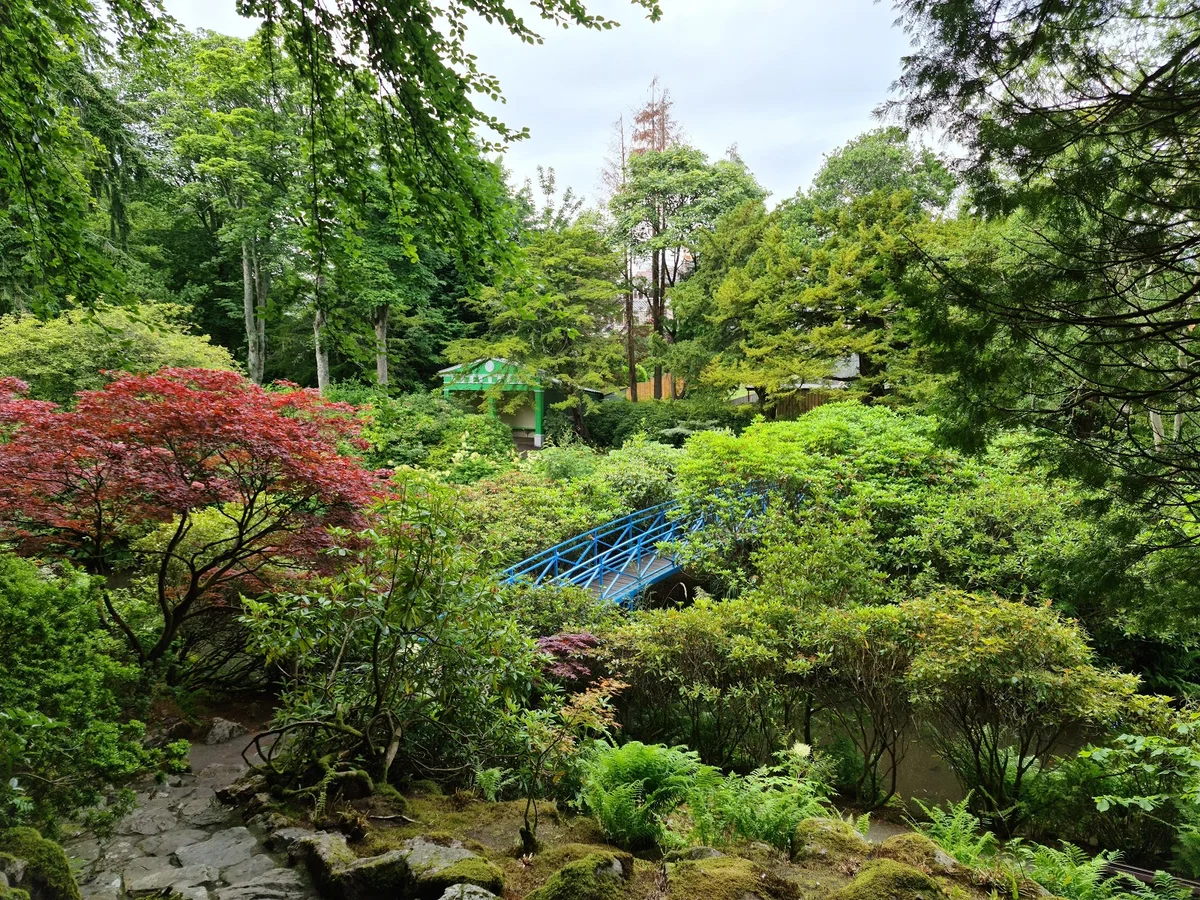 Johnston Gardens