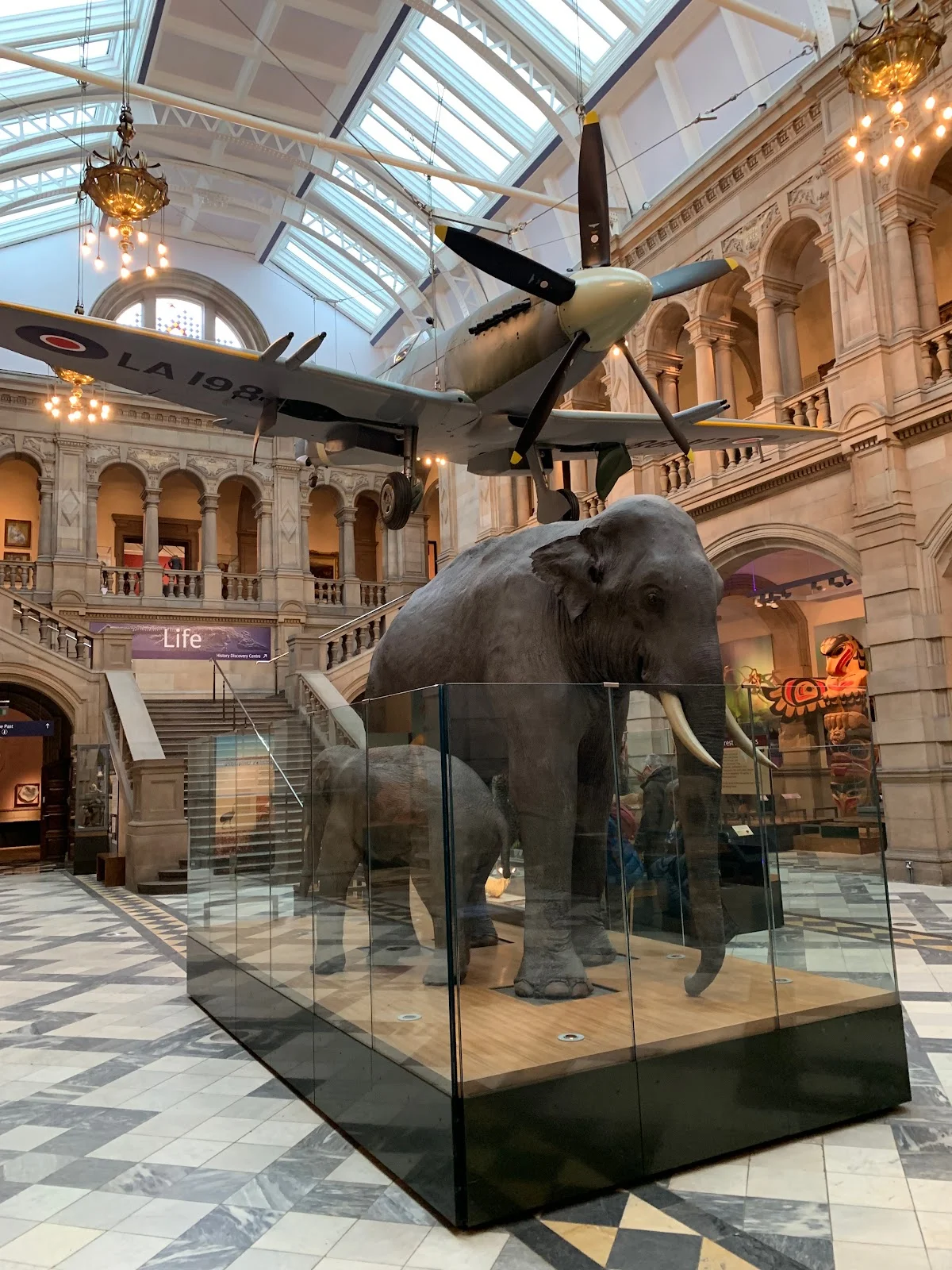 Kelvingrove Art Gallery and Museum