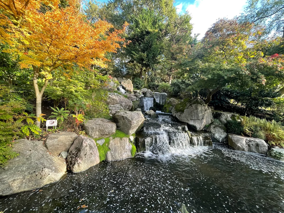 Kyoto Garden