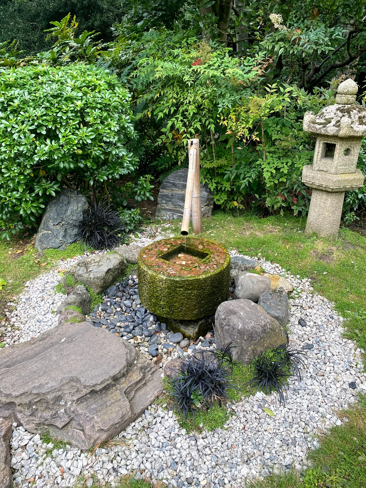 Kyoto Garden