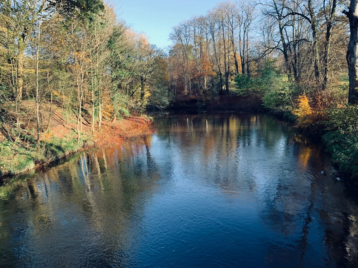 Linn Park