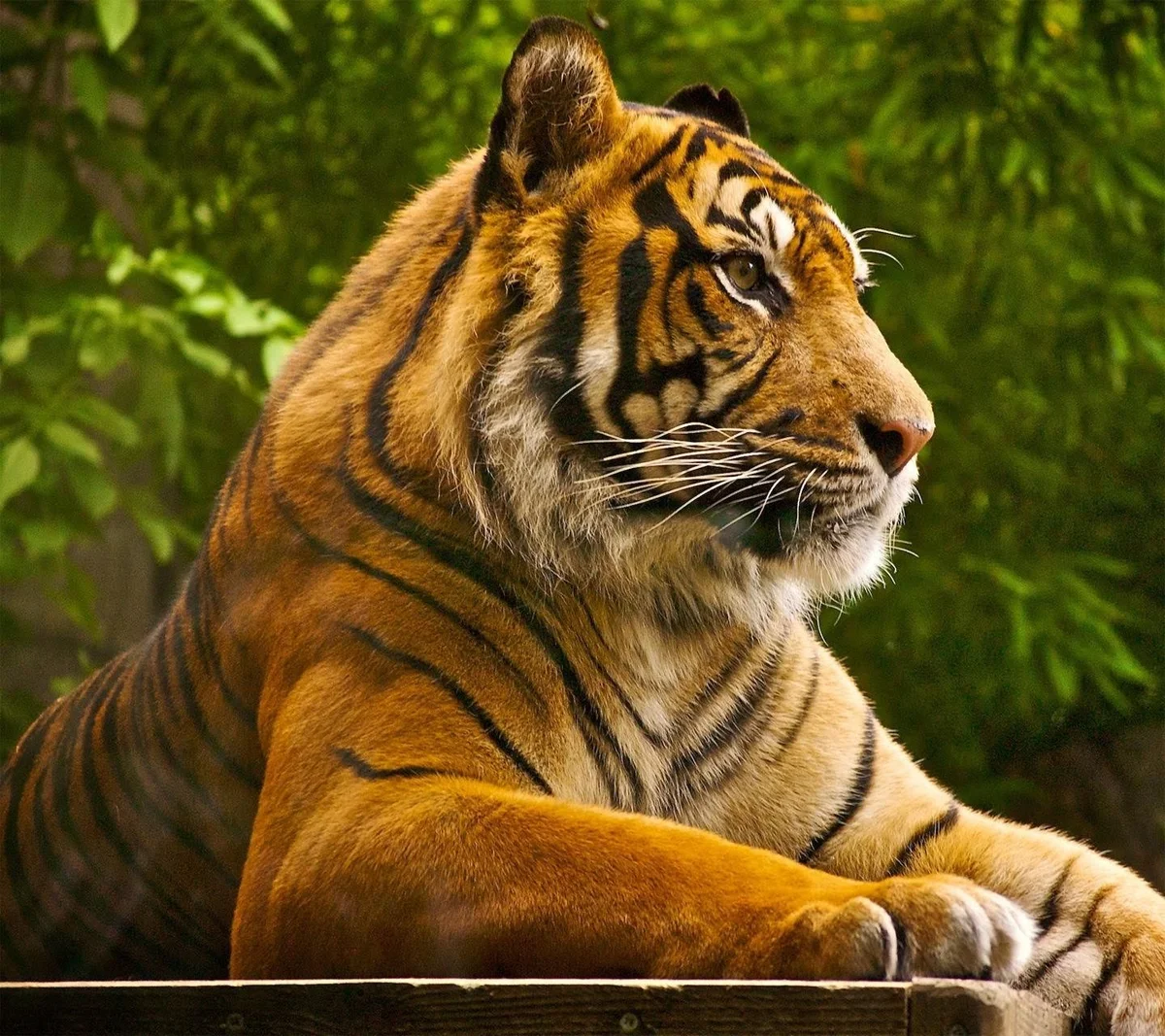 London Zoo