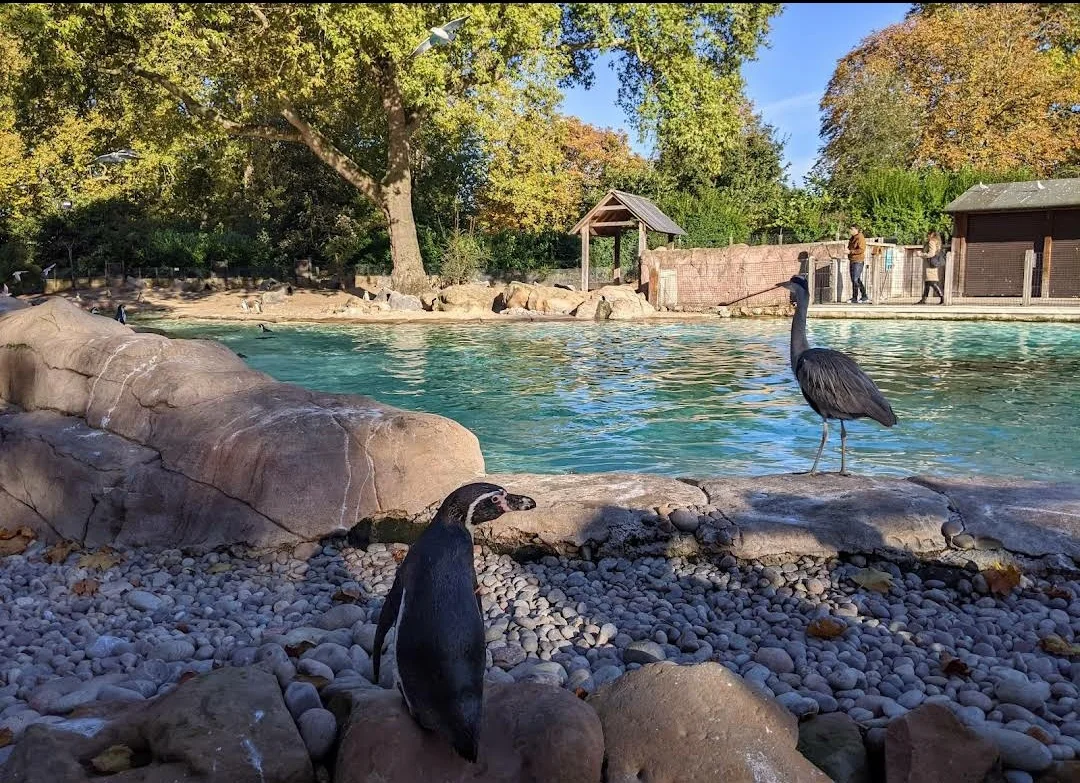 London Zoo