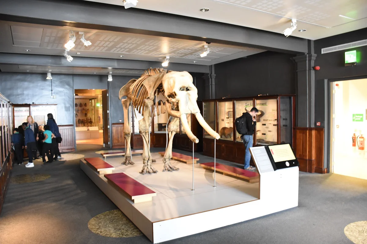 Manchester Museum