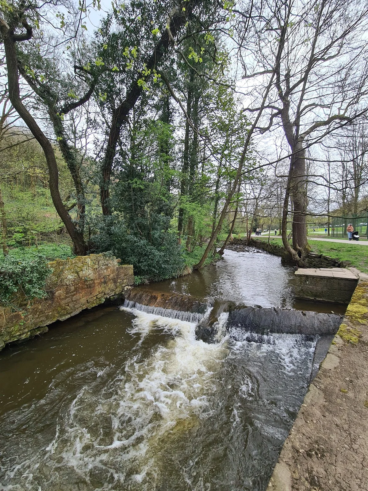 Millhouses Park