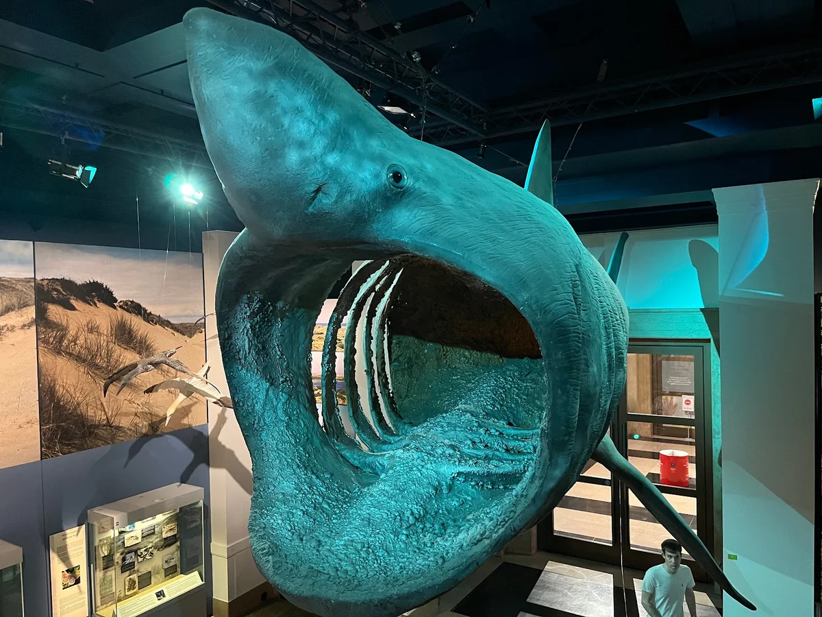National Museum Cardiff