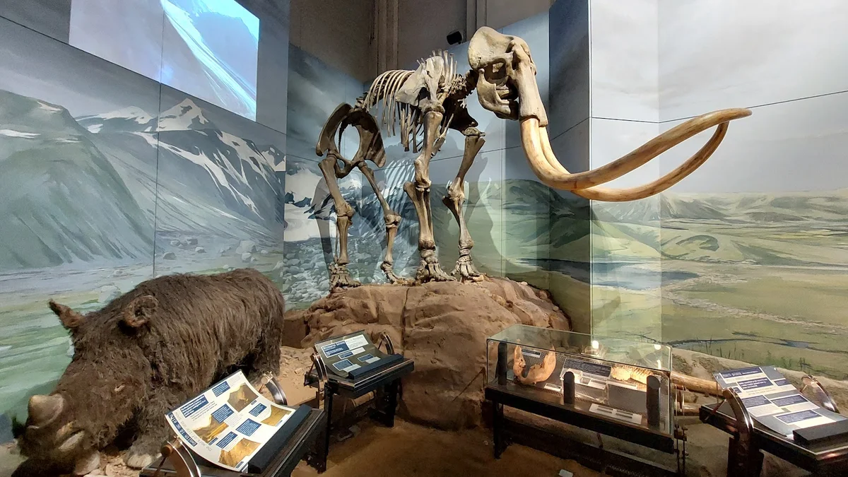 National Museum Cardiff