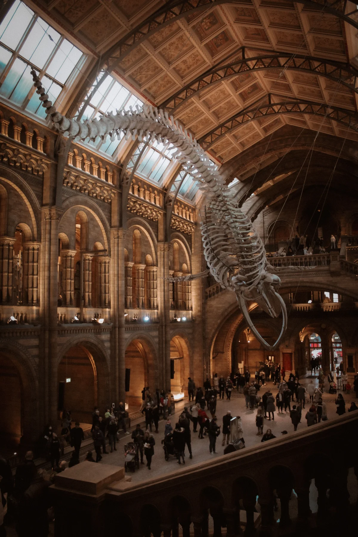 Natural History Museum
