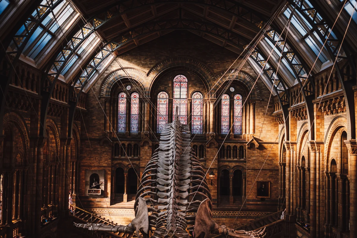 Natural History Museum