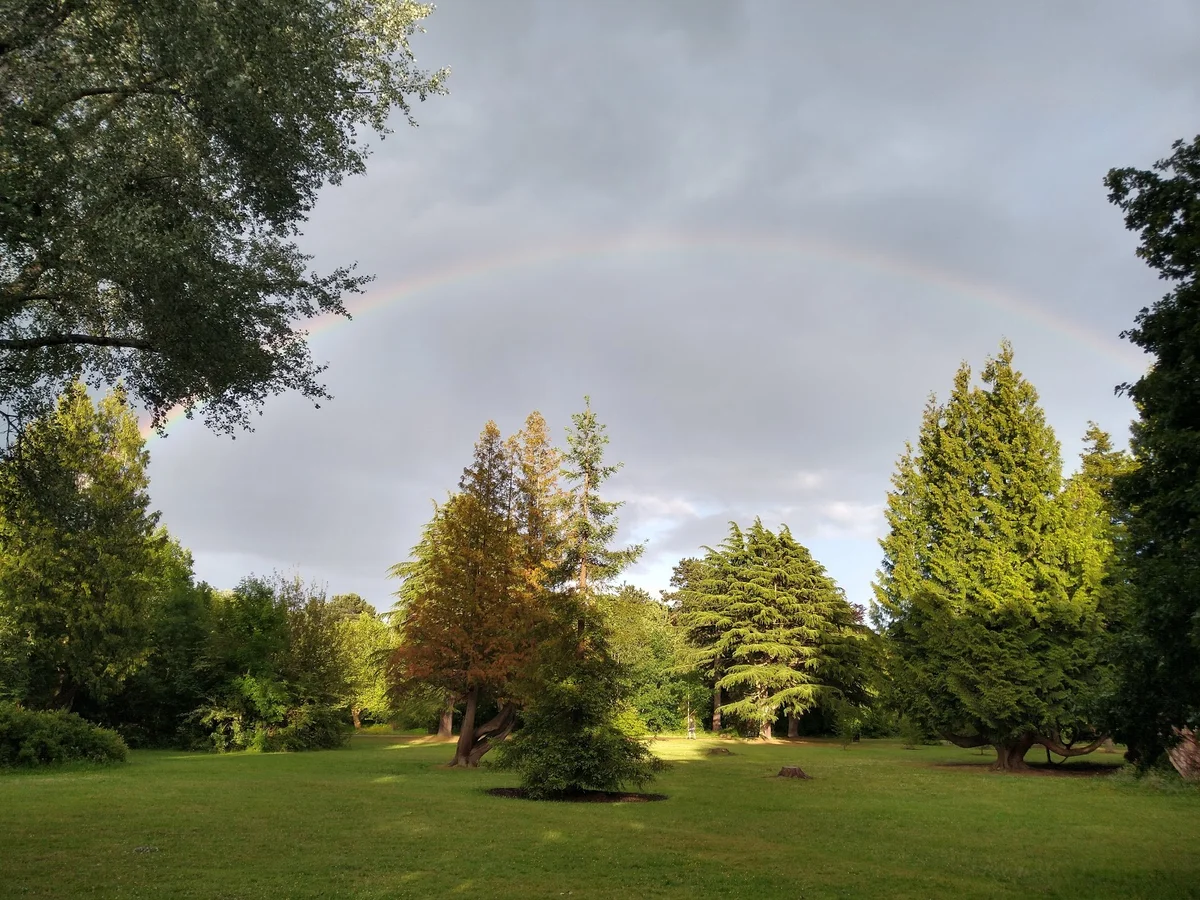 Ormeau Park