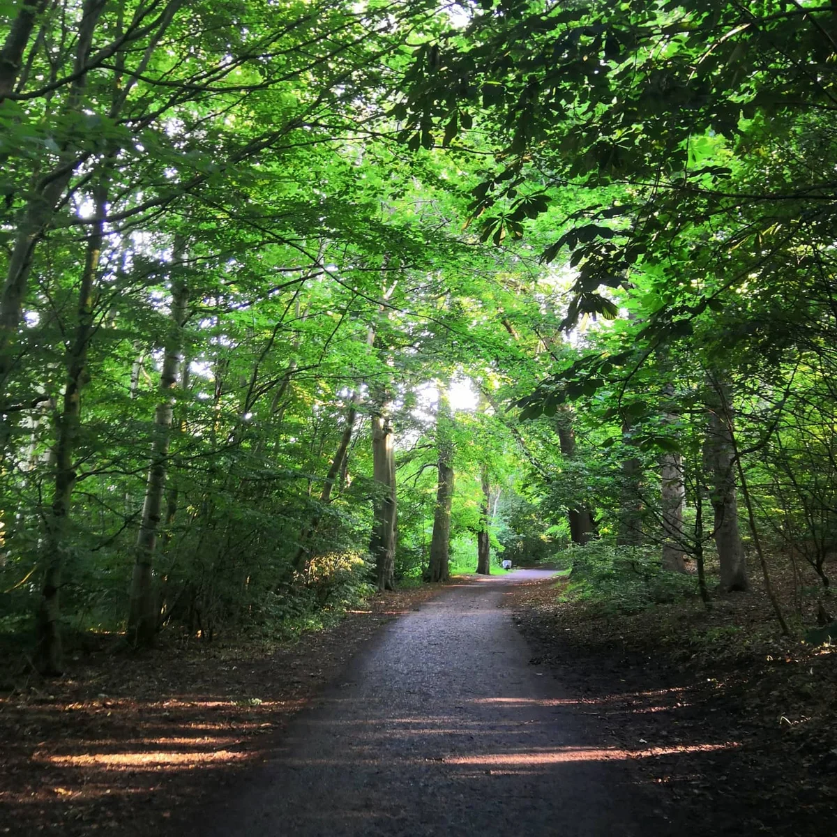 Ormeau Park