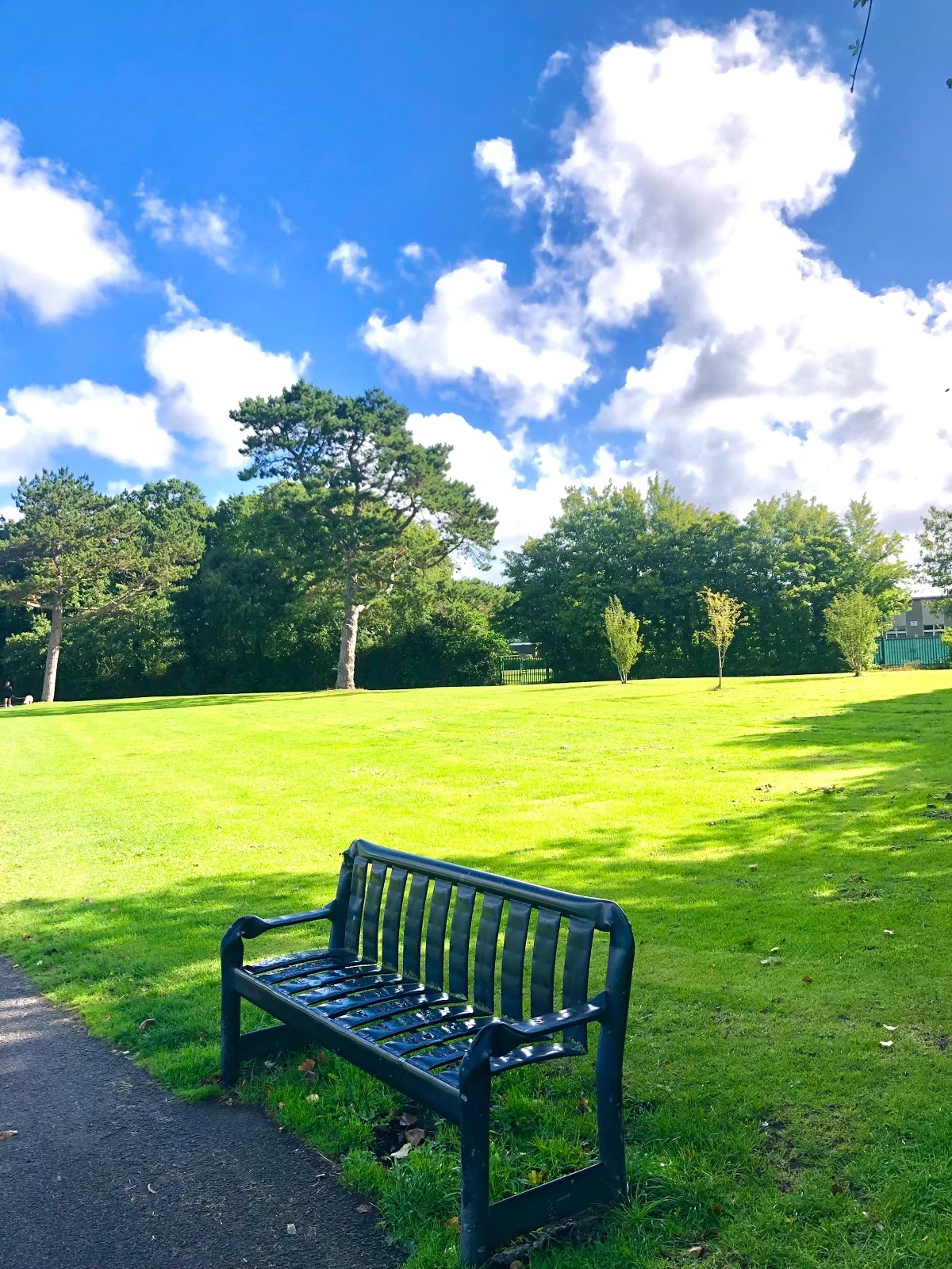 Ormeau Park