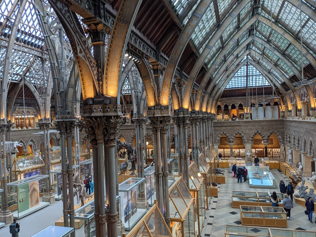 Oxford University Museum of Natural History