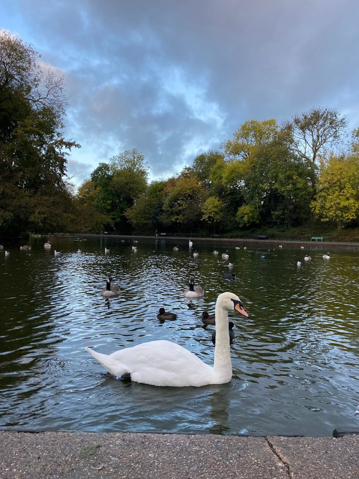 Platt Fields Park