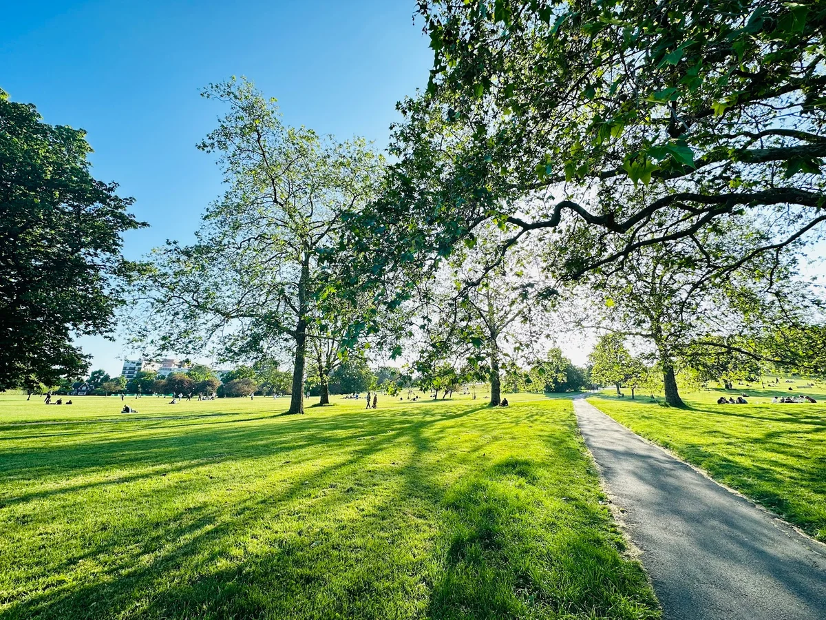 Primrose Hill