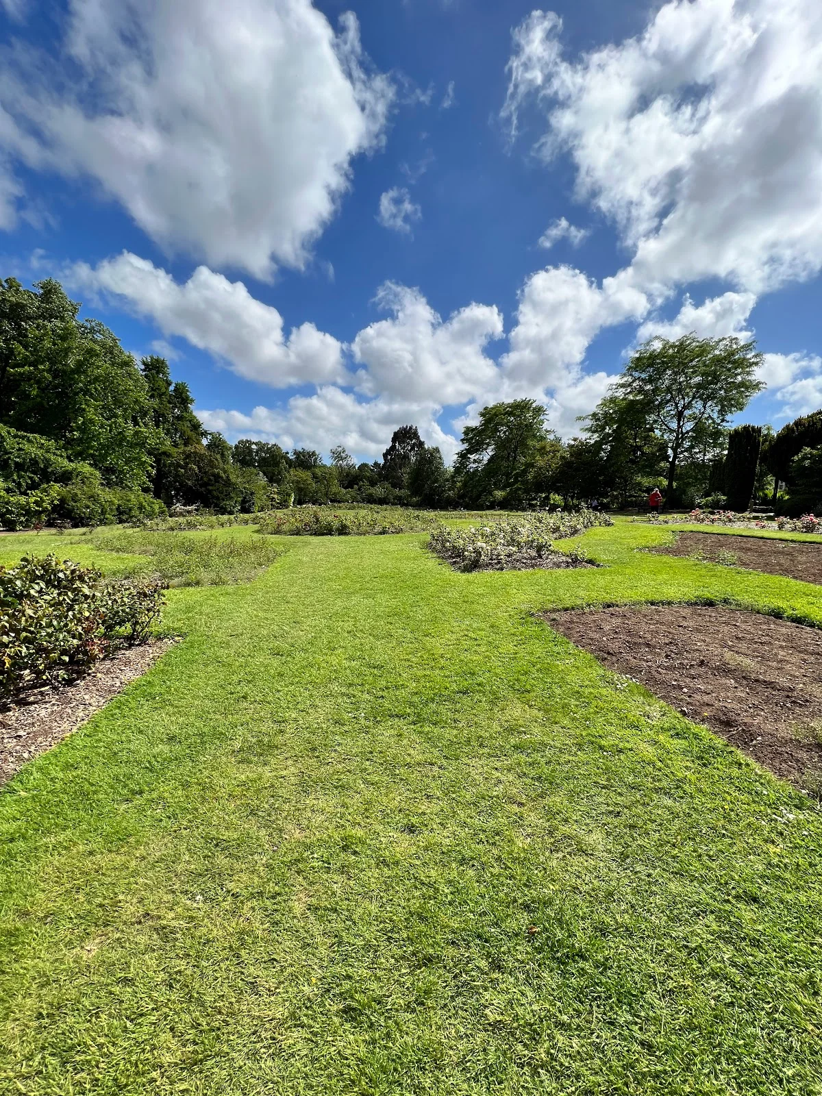 Roath Park