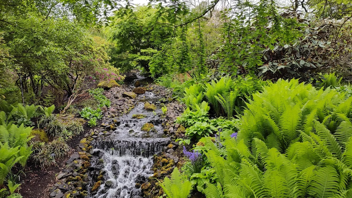Royal Botanic Garden Edinburgh