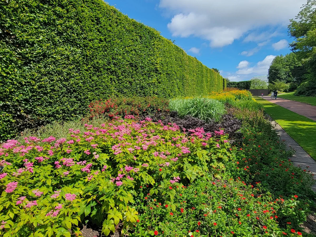 Royal Botanic Garden Edinburgh