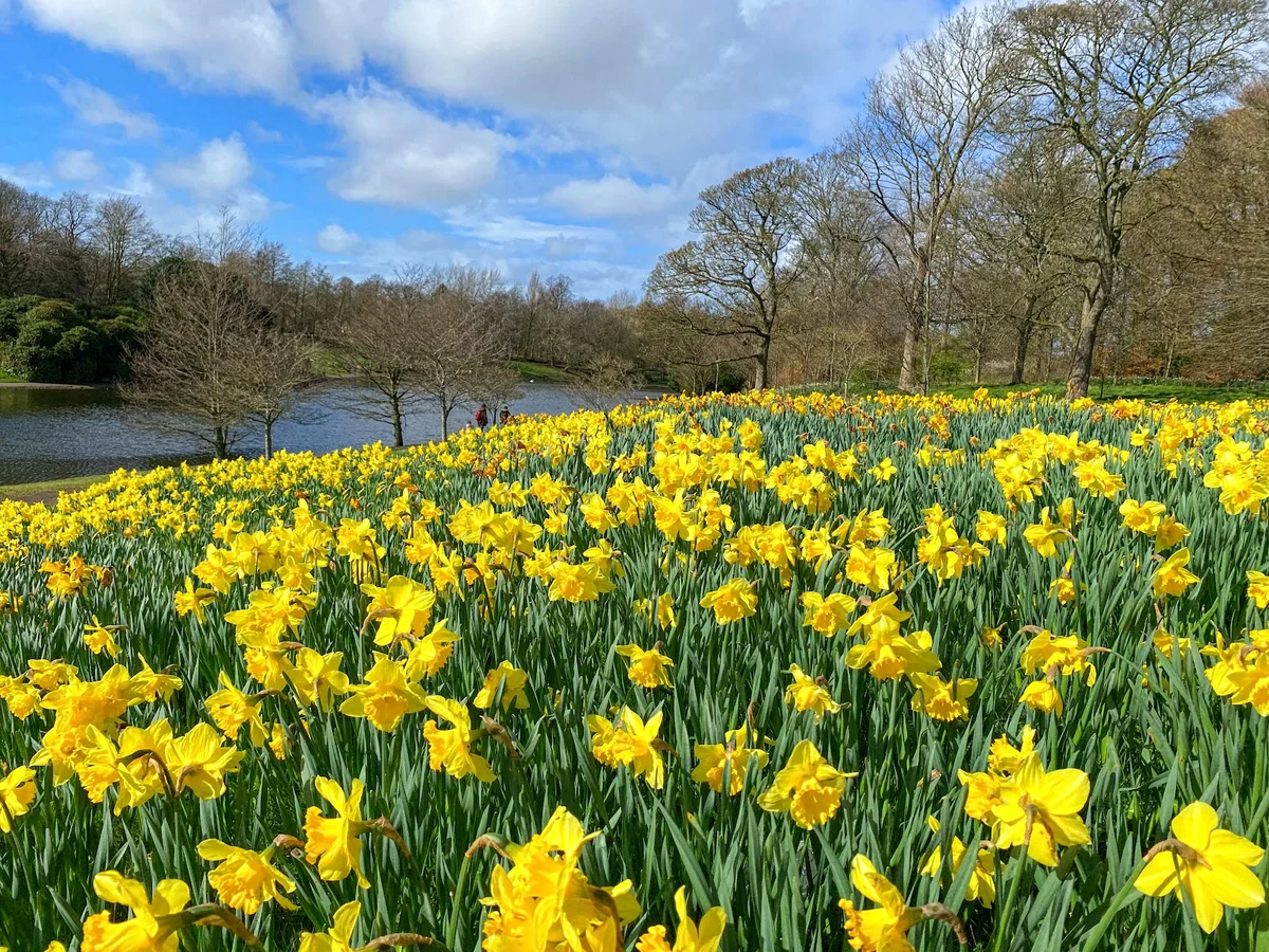 Sefton Park