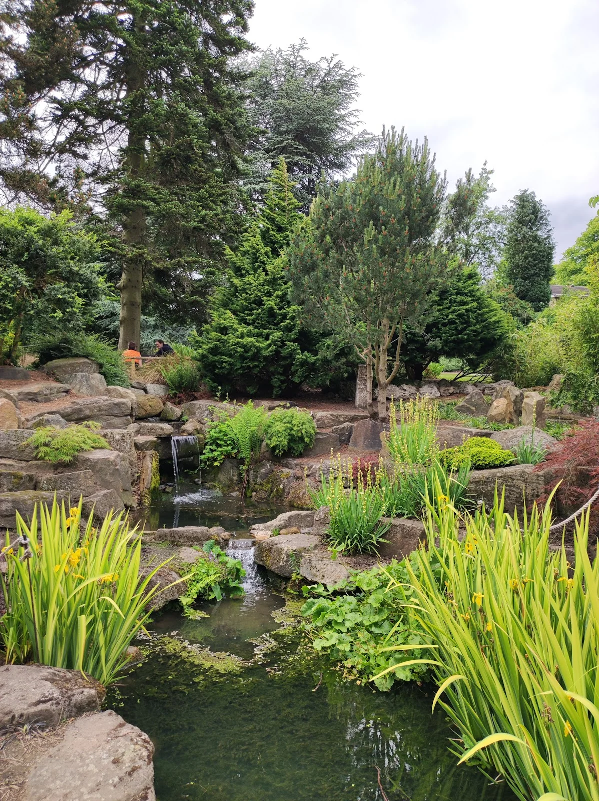 Sheffield Botanical Gardens