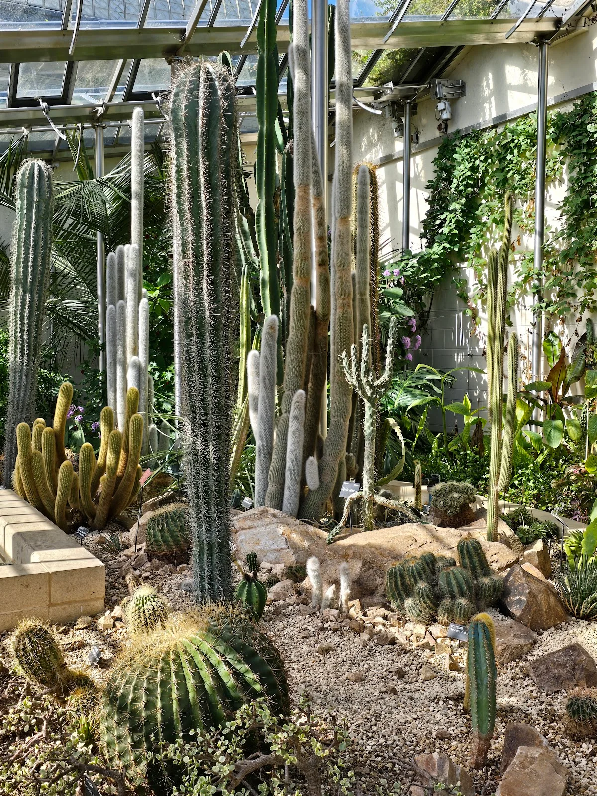 Sheffield Botanical Gardens
