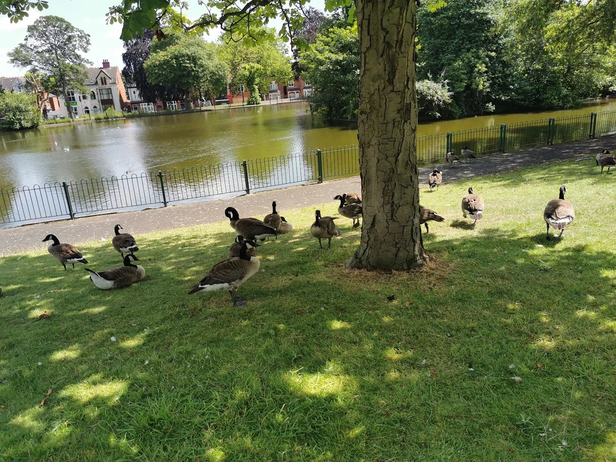 Small Heath Park