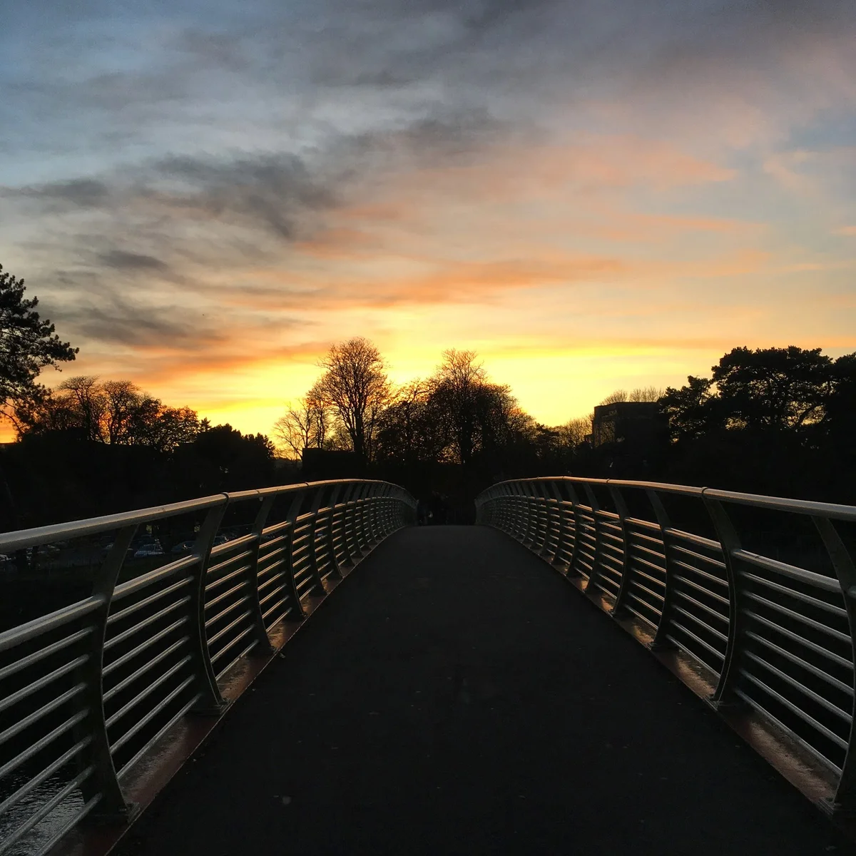 Sophia Gardens