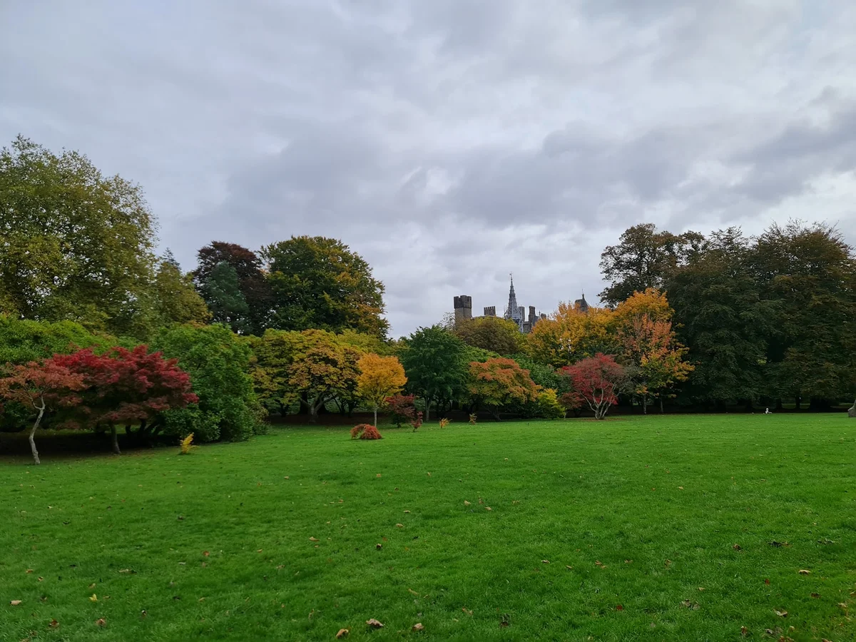 Sophia Gardens