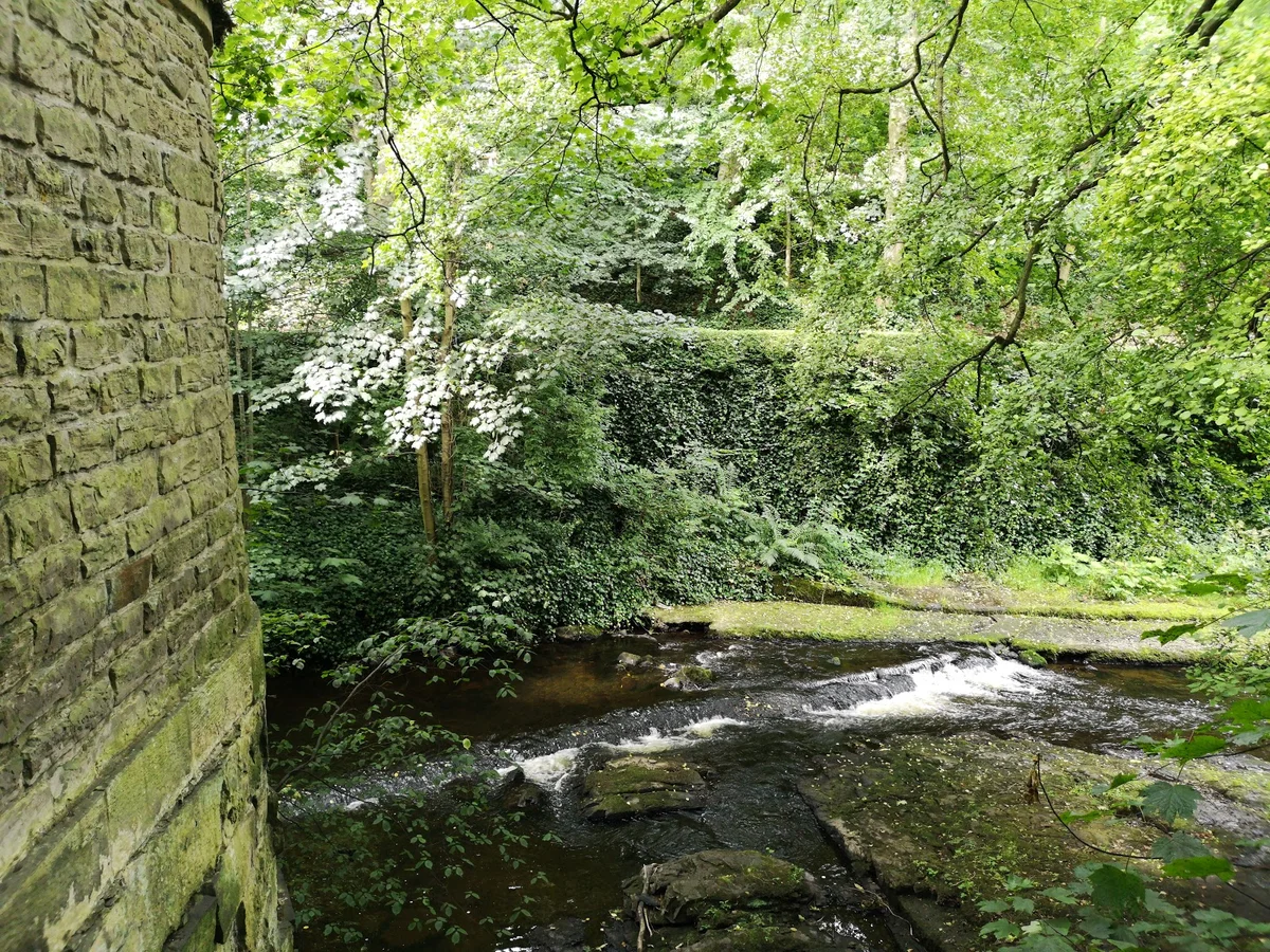 St Bernard's Well