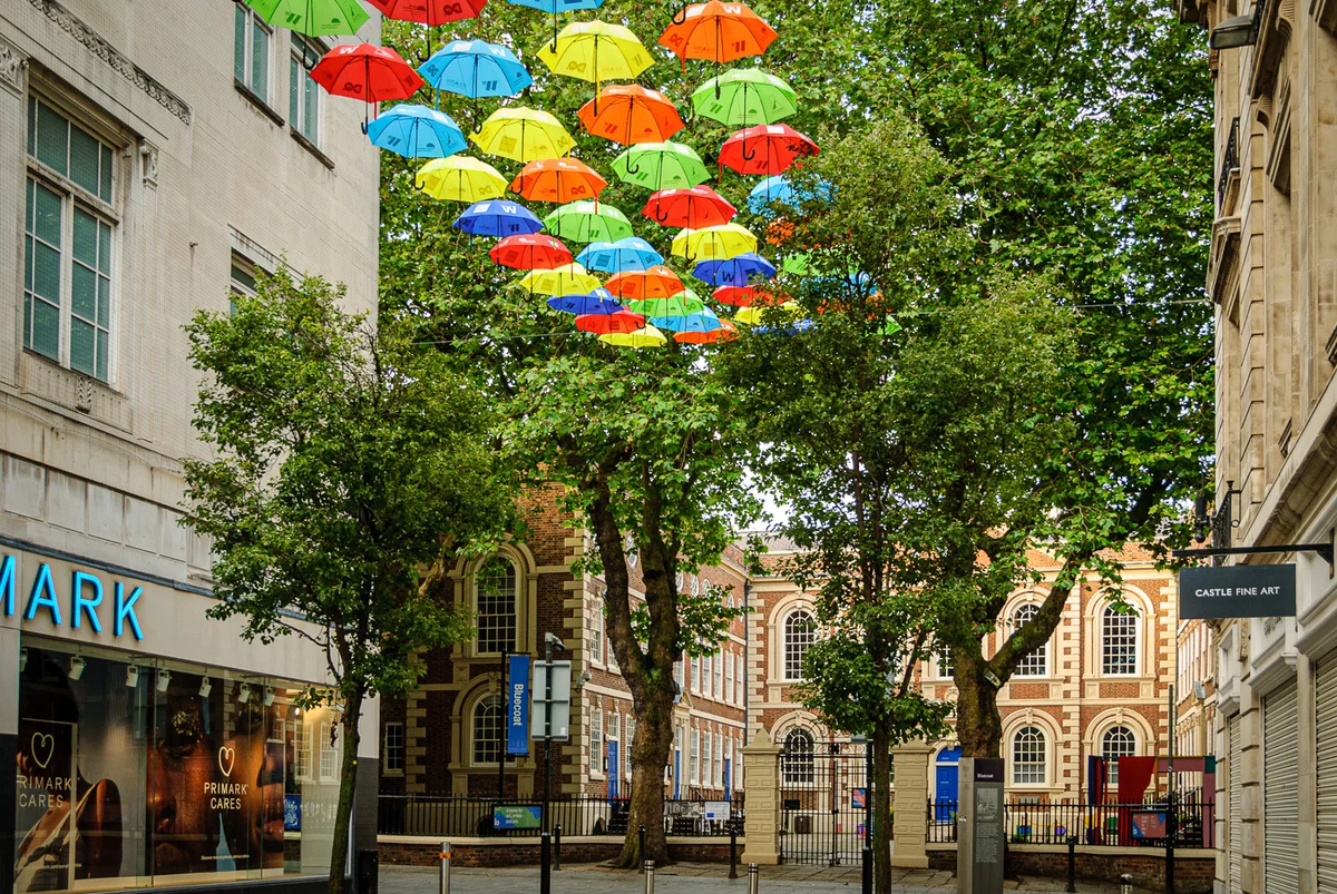 The Bluecoat