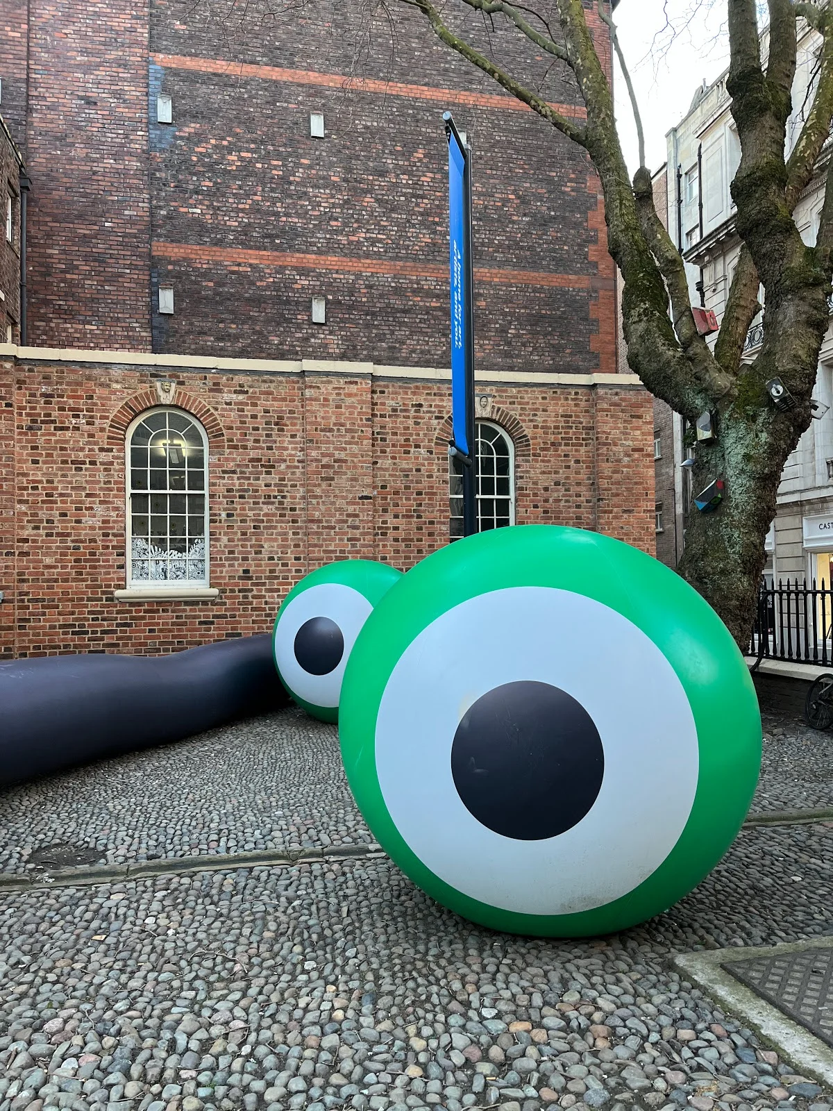 The Bluecoat