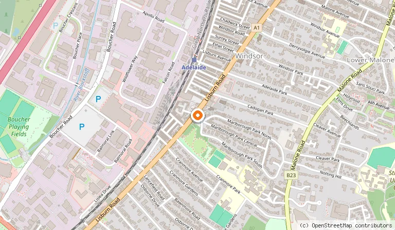 Map showing the location of The Chelsea in Belfast
