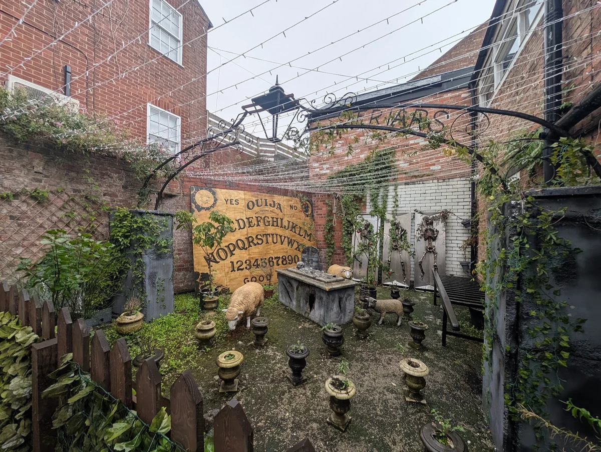The Museum Of Curiosities