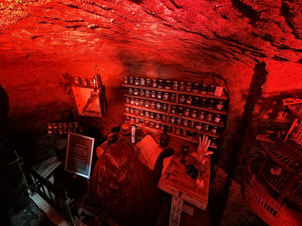 The Museum Of Curiosities