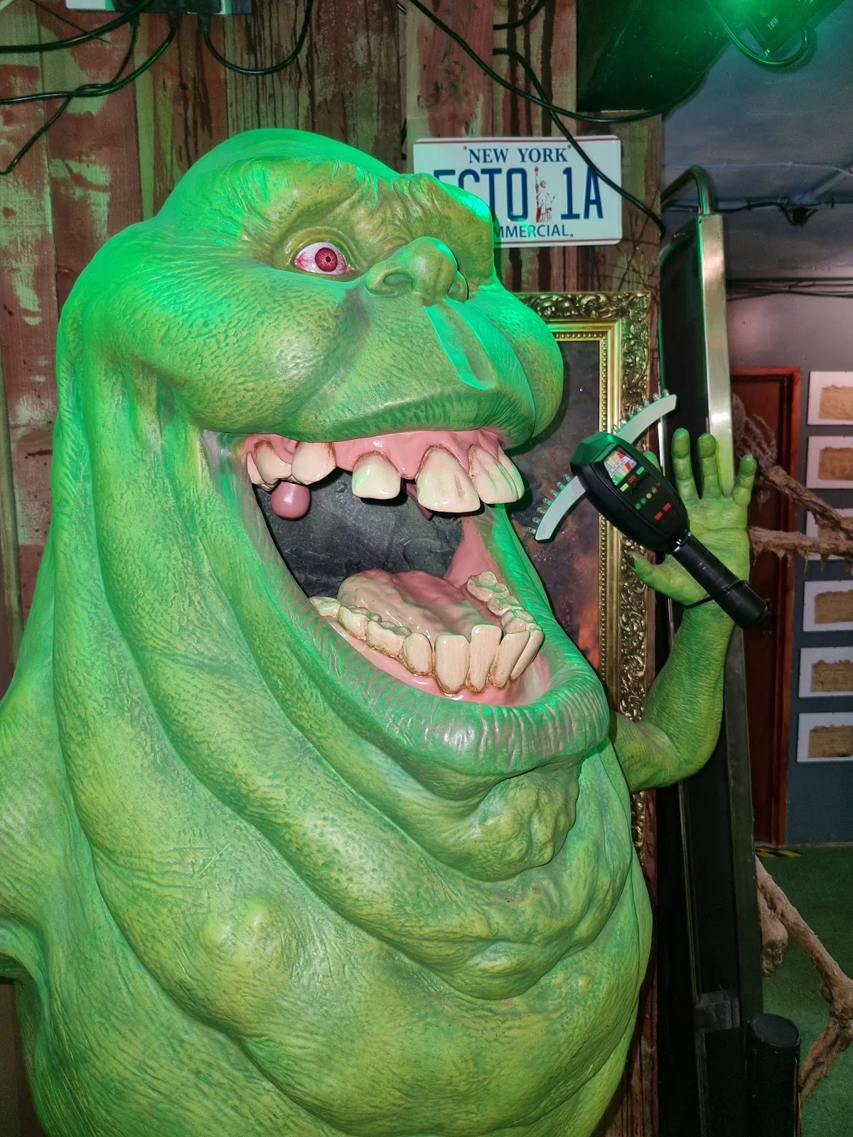 The Museum Of Curiosities