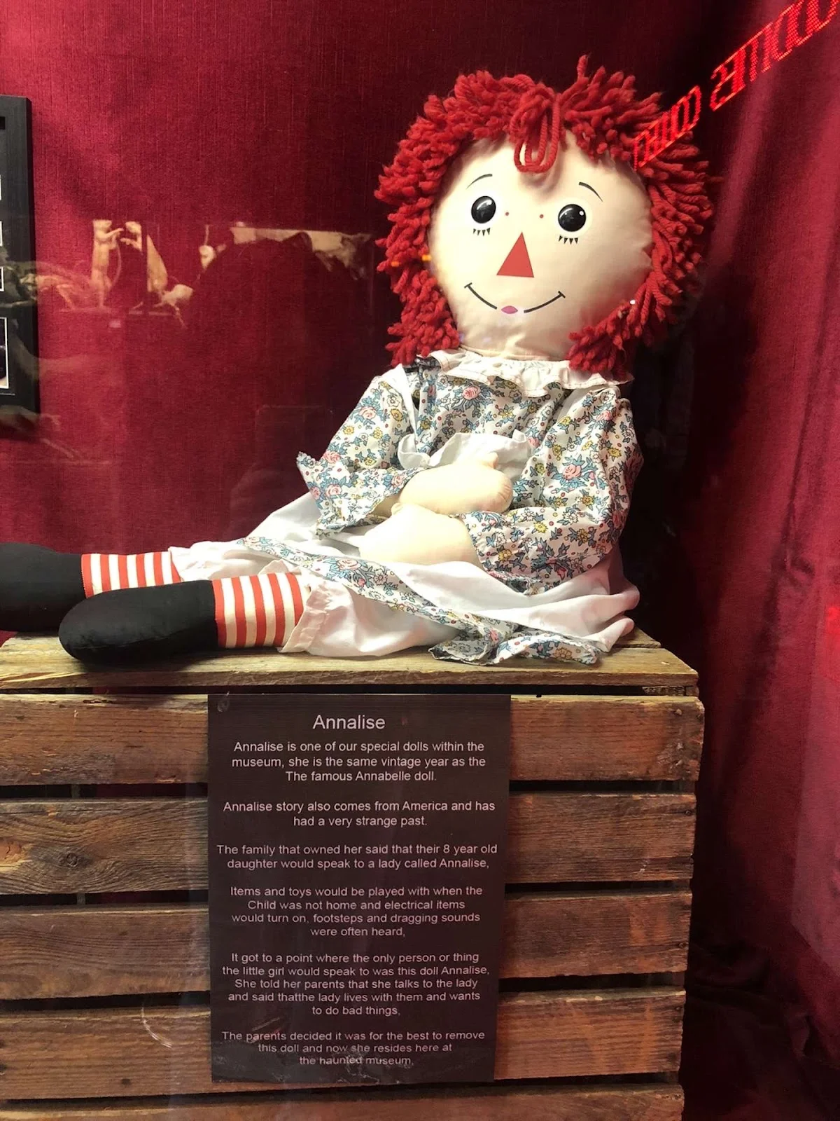The Museum Of Curiosities