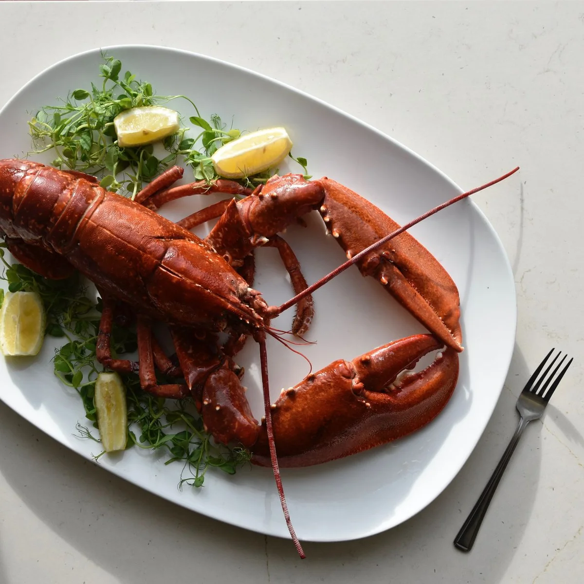 The Mussel and Steak Bar