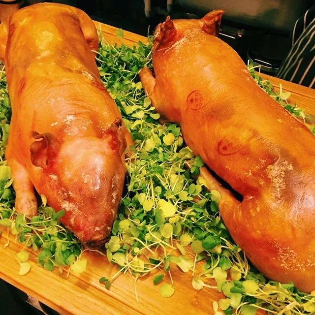 The Potted Pig